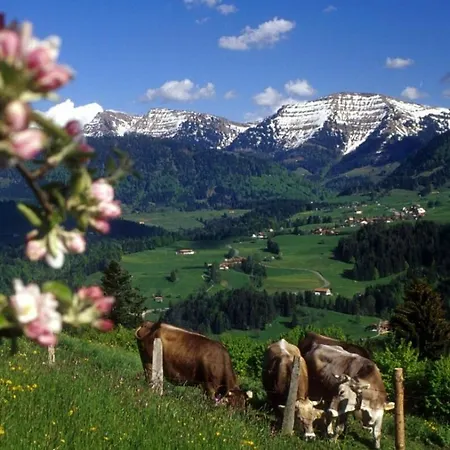Schwedenglueck, Steibis Oberstaufen