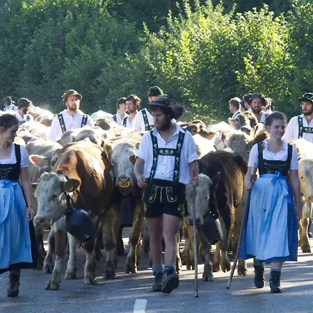 Schwedenglueck, Steibis Oberstaufen